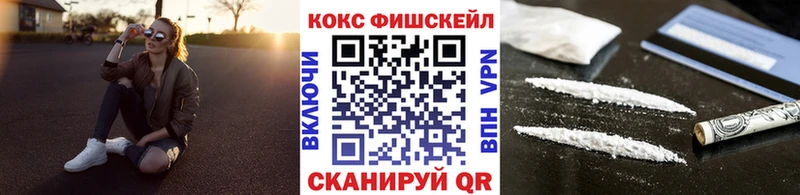Купить  Суджа  COCAIN Fish Scale 