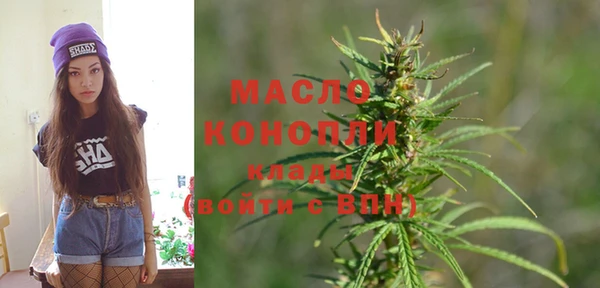 крисы Козельск