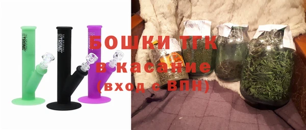 крисы Козельск