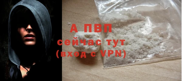крисы Козельск