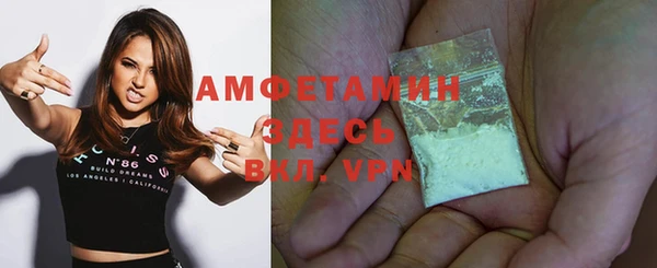 крисы Козельск