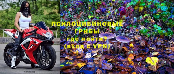 ECSTASY Кодинск