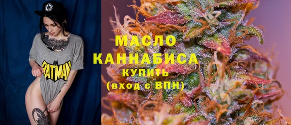 крисы Козельск