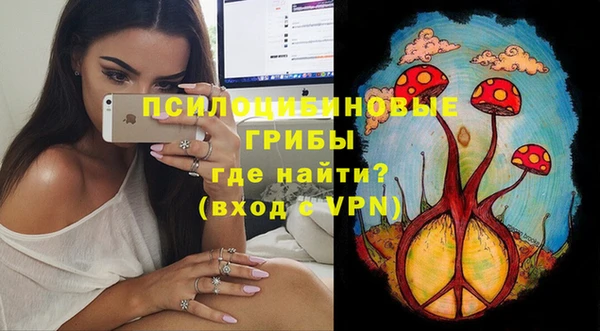 крисы Козельск