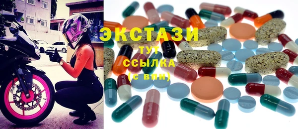 крисы Козельск