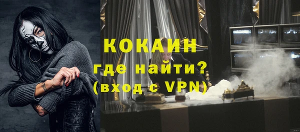 крисы Козельск