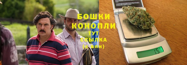 крисы Козельск