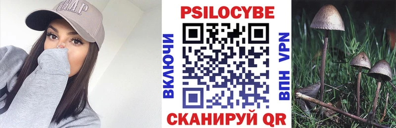 Галлюциногенные грибы мухоморы  Купить где  Суджа 